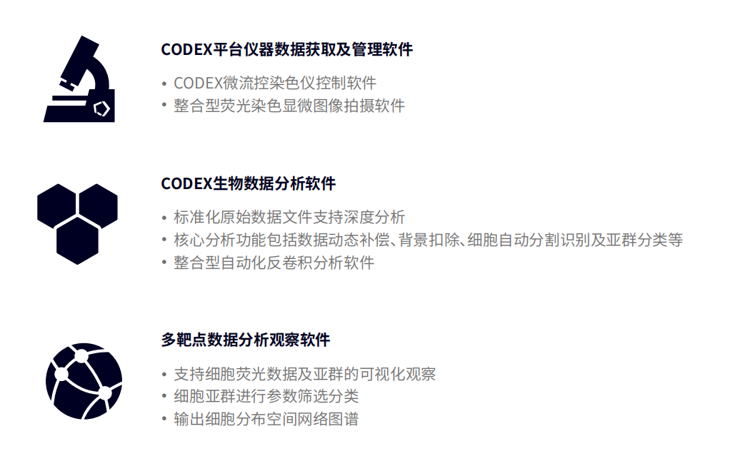 codex软件.png